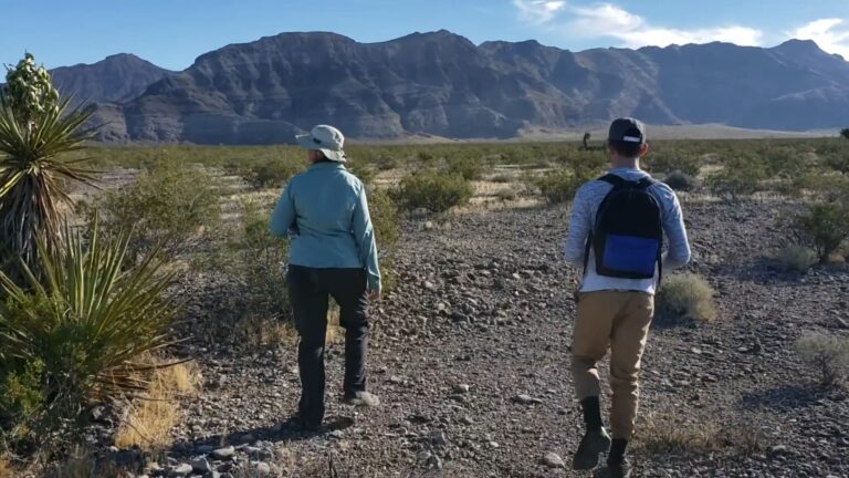 BEC Environmental Scientists walk transects in a desert in Pahrump Nevada during a Phase I Environmental Site Assessment