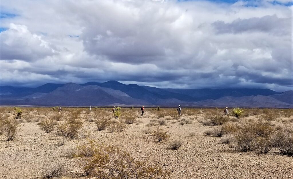 Six evenly-spaced biologists walk cloudy desert during a biology survey