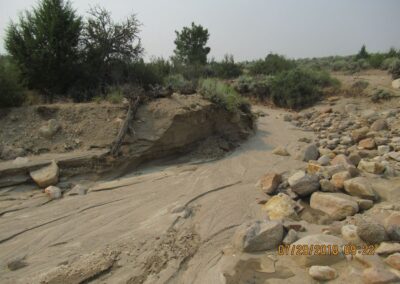Geofortis Mine Biological and Paleontological Resource Survey