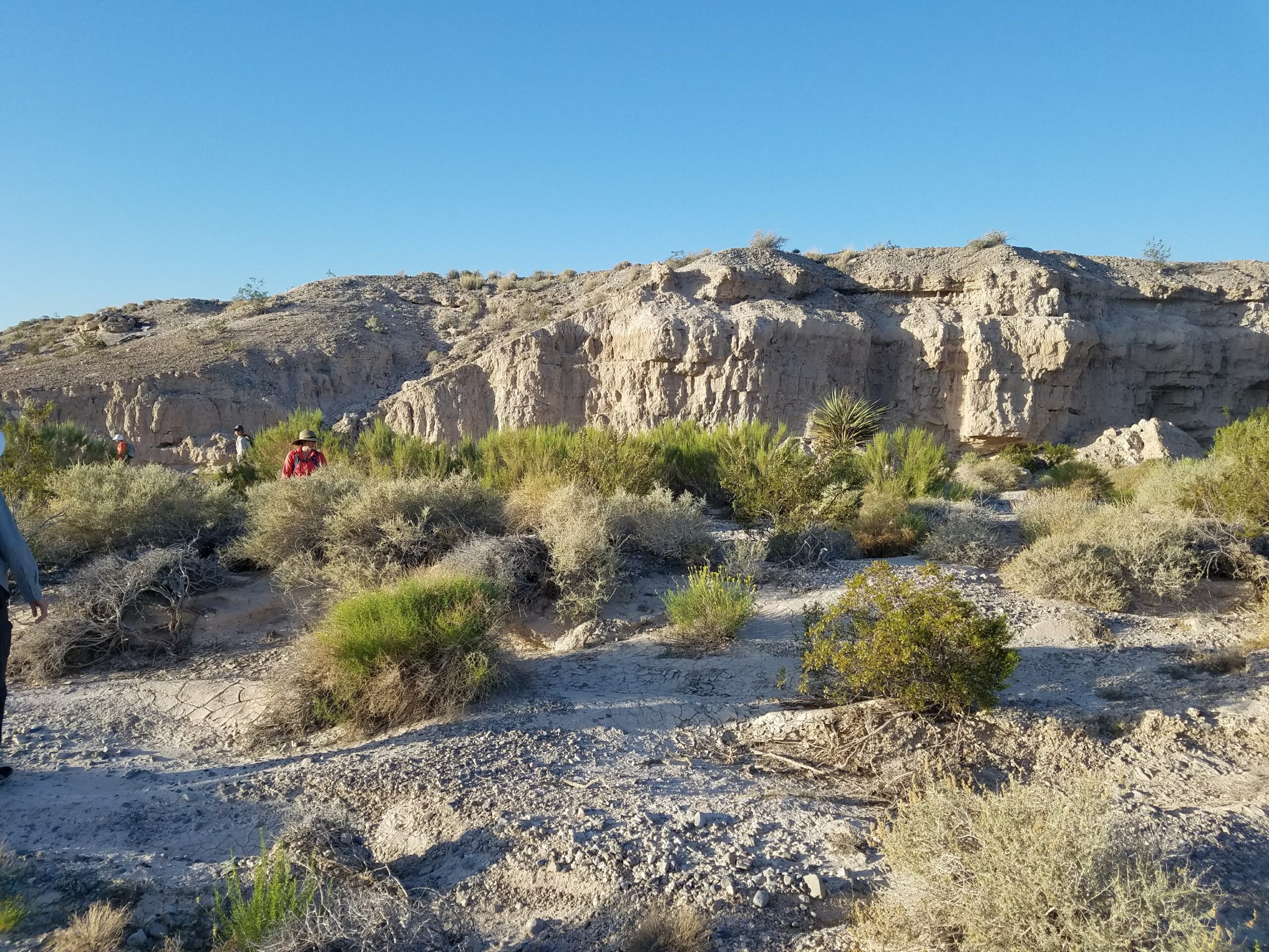 Desert landscape with environmental scientists.