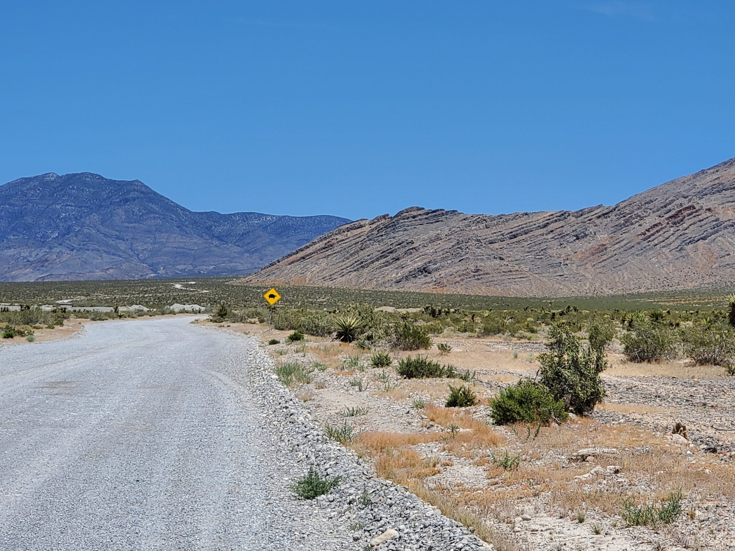 Desert Road